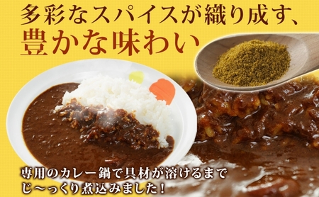 定期便 2ヶ月 松屋 オリジナル カレーの具 180g 10袋 カレー レトルトカレー 辛口 スパイス カレギュウ レトルト 冷凍 時短 簡単 便利 レンチン おかず 保存食 備蓄 お取り寄せ グルメ 埼玉県 嵐山町
