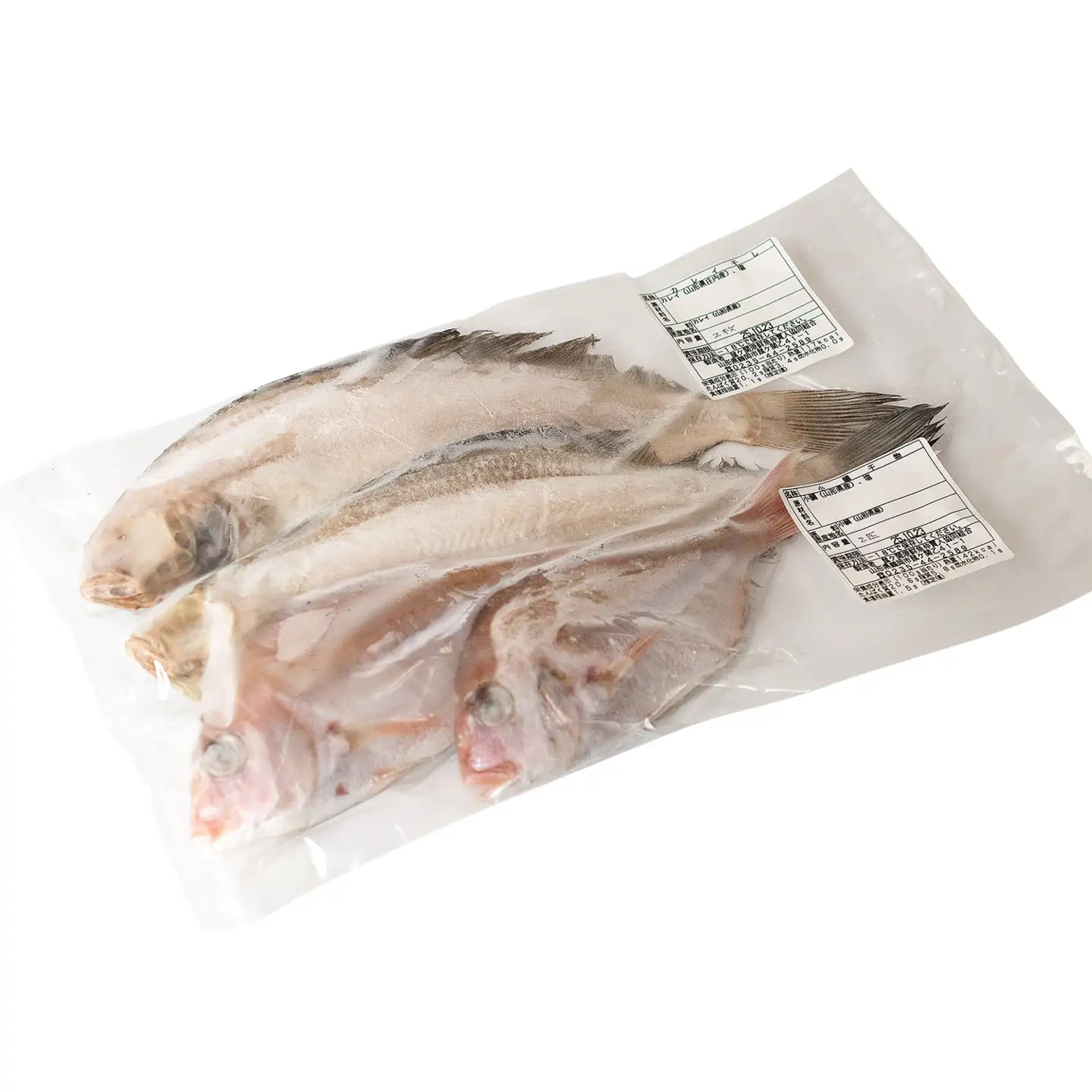 庄内浜加工　一夜干しセット（大）　鶴岡魚類株式会社　K-754