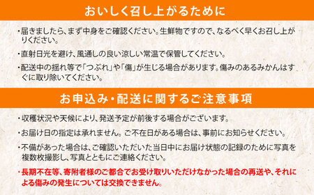 ※【2027年1月より順次発送／先行予約】伊木力温州みかん5kg(ご家庭用、箱入り) / 伊木力 温州みかん みかん ミカン 蜜柑 佐瀬 諫早 多良見 長崎 / 末永果樹園[AHBD003]
