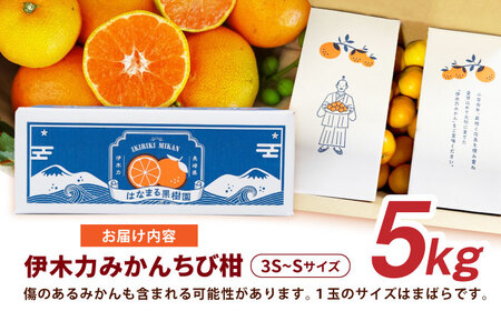 ※【2026年10月下旬より順次発送／先行予約】伊木力みかん(ちび柑) 5kg / みかん s みかんsサイズ ミカン 蜜柑 柑橘 フルーツ ふるーつ 果物 くだもの / 諫早市 / 山野果樹園 [AHCF013]