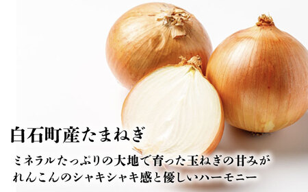 蓮玉ハンバーグ 120g×6個 / ハンバーグ [IDH001]