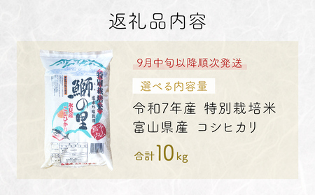〈令和7年産 特別栽培米〉 富山県産コシヒカリ 10kg 鰤の里 白米