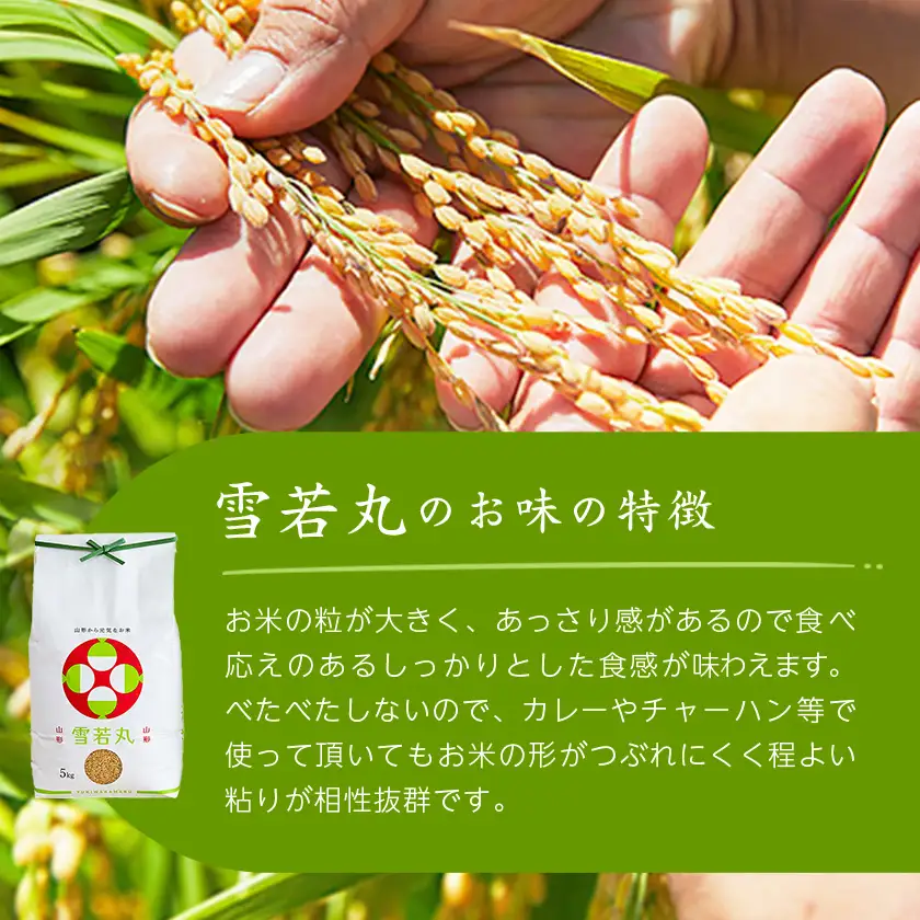 令和7年産　山形県産　雪若丸　玄米　10kg(5kg×2袋)【1660788】