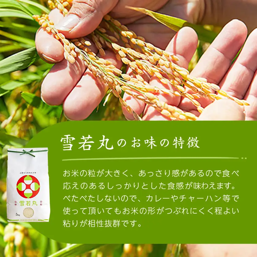 令和7年産　山形県産　雪若丸　無洗米　10kg(5kg×2袋)【1660789】