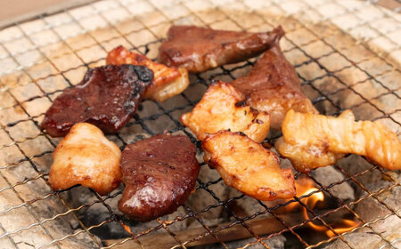 【冷凍】 牛丼×9食とミックスホルモン×1,500g 計2,85kg [AGCC074] 牛肉