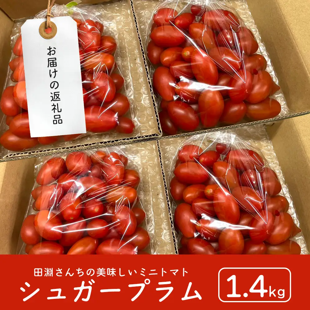 《期間限定》田淵さんちの美味しい ミニトマト シュガープラム（約1,400g）GP-2｜鹿児島県 南大隅 産地直送 旬 とまと トマト ミニトマト リコピン 完熟 甘い 高糖度 野菜 やさい 送料無料
