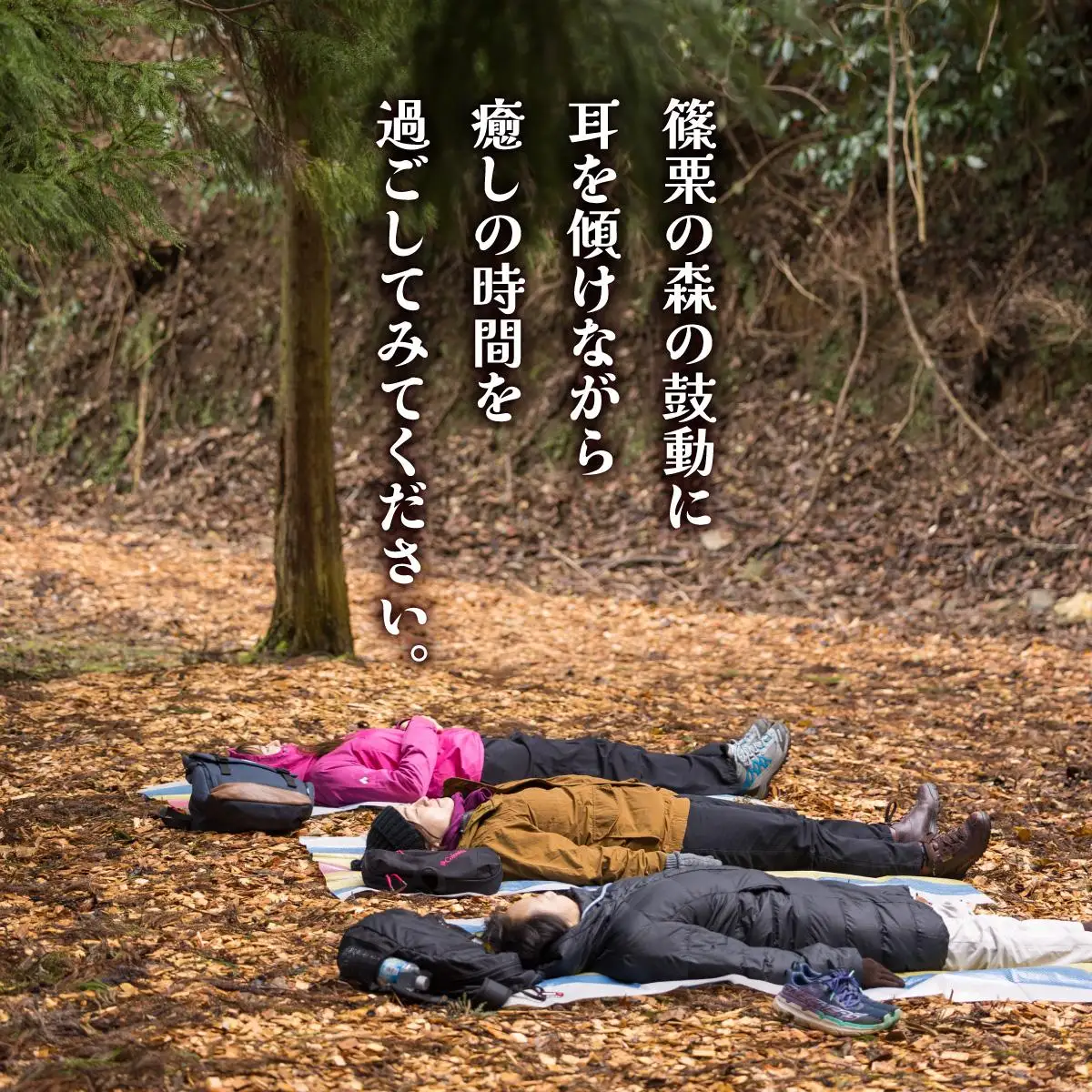 篠栗町森林セラピー体験1～3名様【篠栗九大の森コース（約2km/約2時間）】FZ005 