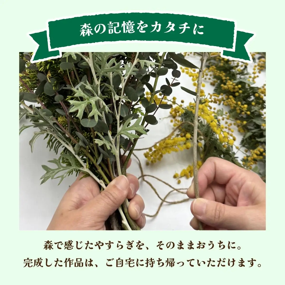 森林セラピー＆スワッグ（苔玉）づくり体験2名様 FZ006 