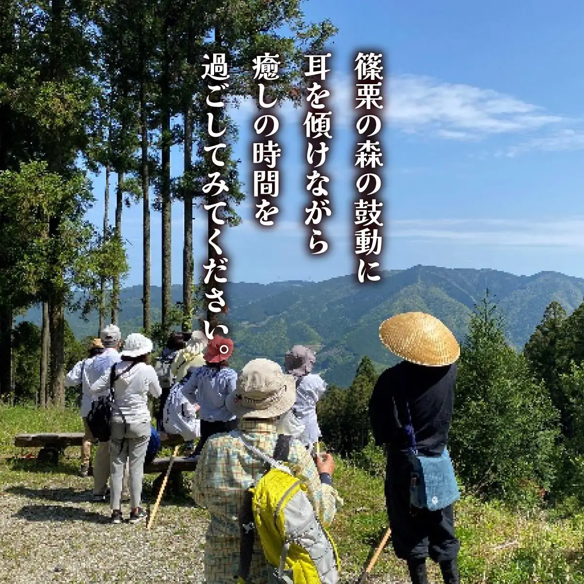 森林セラピー＆お遍路体験3名様 FZ007 