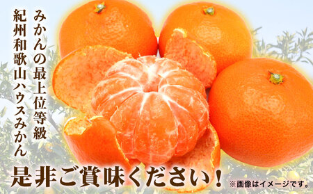 みかん 赤秀品 ハウスみかん 約2.5kg