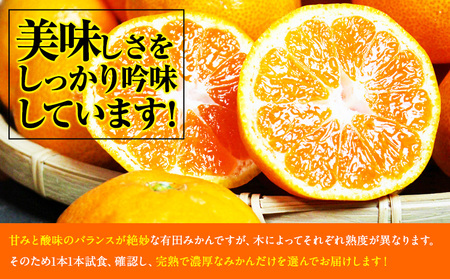 みかん 秀品 有田みかん 約2kg