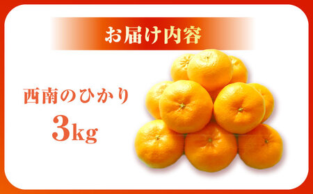 【ご家庭用】 西南のひかり約3kg 長与町/果豊園[ECL010]