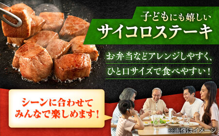 12回定期便 佐賀牛 ヒレステーキセット ステーキ180g×3 サイコロステーキ400g[FCH028]