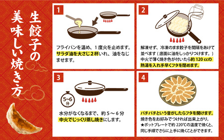 【訳あり】福井のうまい生餃子 50粒【冷凍】[A-195002]　ぎょうざ たれ付き もちもちおかず 冷凍 豚肉 国産 送料無料