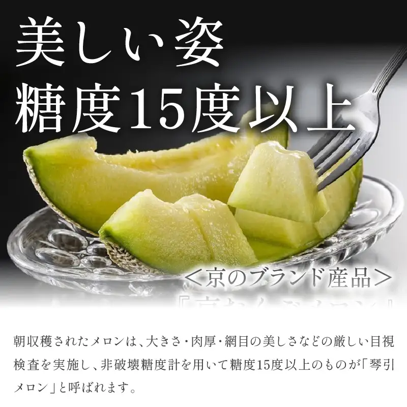【2026年6月下旬-発送】 琴引メロン 3L 1玉 京のブランドメロン
