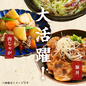 豚肉 切り落し 9kg 【工場直送 業務用】 九州産豚切り落とし＜計9kg(300g×30P)＞ 肉 国産 豚肉 切り落とし 国産 九州産 小分け 真空パック しゃぶしゃぶ c0-137