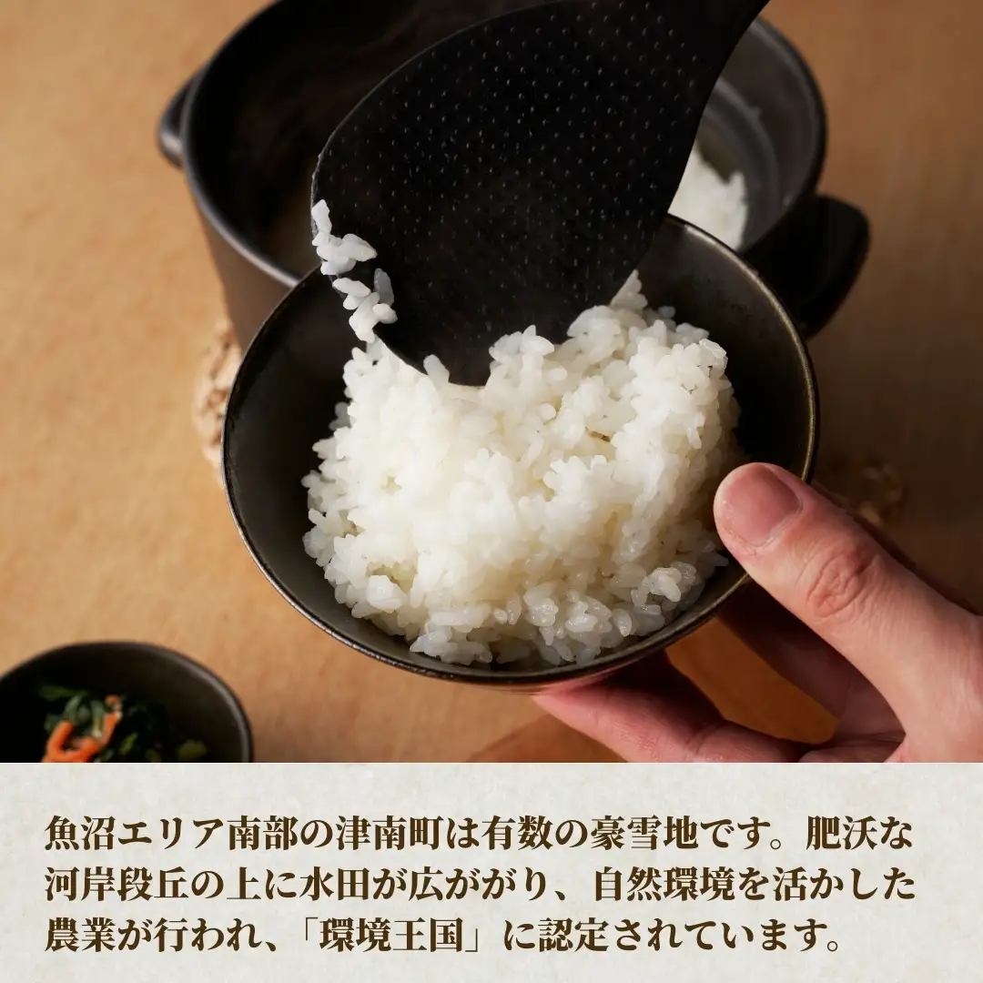 【6ヶ月定期便】令和7年産魚沼（津南）産コシヒカリ 3kg（3kg×1袋）(有)フジミヤ |津南町 魚沼産コシヒカリ