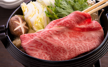 飛騨牛ロース・肩ロース すきやき・しゃぶしゃぶ用400g 飛騨牛 すき焼き しゃぶしゃぶ[ANBE021]
