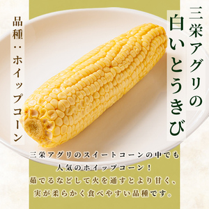 【A7122】朝採りレトルトスイートコーン ホイップコーン (5パック) ホイップコーン 北海道産 北海道 士別市 とうもろこし トウモロコシ とうきび 【三栄アグリ】