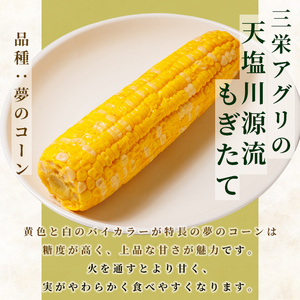 ＜先行予約受付中＞朝採りレトルトスイートコーン 夢のコーン (5パック) 【2026年11月以降発送予定】夢のコーン 北海道産 北海道 士別市 とうもろこし トウモロコシ とうきび 【三栄アグリ】【A7123】