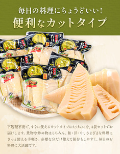 訳あり たけのこ 水煮 カットタイプ 九州産 2袋  (1袋500g) 北薩農産加工場《30日以内に出荷予定(土日祝除く)》鹿児島県 さつま町 送料無料 惣菜 タケノコ 筍 竹の子 パック 水煮 お取り寄せグルメ
