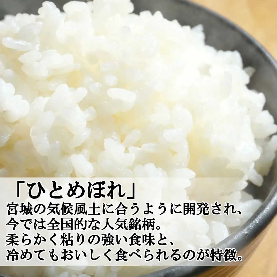 【令和7年産米】蔵王産米2種食べ比べセット計10kg（つや姫5kgひとめぼれ5kg）／ 米 ごはん ご飯 白米 精米 食べくらべ 5kg 10kg 2025年産 令和7年産 新米 東北 宮城県産 蔵王産【04301-0133】