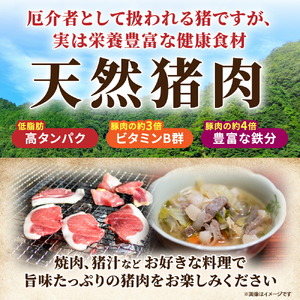 天然猪肉切り落とし 約1.5kg(500g×3) 広島県 猪 しし肉 天然 ジビエ イノシシ いのしし しし汁 猪汁 ぼたん鍋 焼き肉 焼肉 料理 冷凍 BBQ 漁師 送料無料 世羅 A034-01