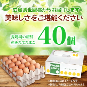 ふみちゃん家のたまご 40個入 広島県 卵 タマゴ 玉子 たまご 新鮮 世羅 生みたて卵 卵かけごはん ふみちゃん こだわり ゆでたまご だし巻き オムライス スイーツ TKG G7広島サミット A027-01