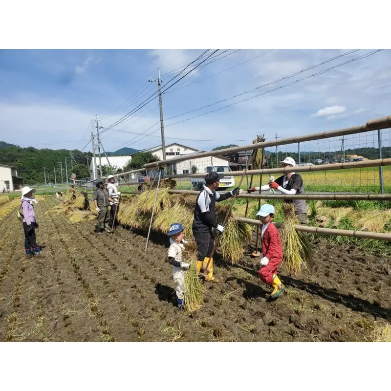 2026年産 京丹後産稲作発祥の地コシヒカリ特別栽培米 月の輪田米 精米5kg（天日干し） ふるさと納税 米 玄米 お米 ご飯 ごはん コシヒカリ 京丹後産 峰山 農家応援 生産者応援 送料無料