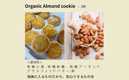 宇陀の午後のお茶セット (化粧箱入り) ／ ふるさと納税 ハーブティー ティーバック セット ギフト お茶 クッキー おやつ お土産 贈り物 シロップ ヨーグルト ホット アイス 国産 奈良県 宇陀市 bijinness
 