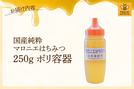 【国産純粋 マロニエはちみつ 250g ポリ容器】国産 純粋 マロニエ はちみつ ハチミツ 蜂蜜 栃の木 やさしい 香り まろやか パン ヨーグルト おすすめ 兵庫県  辻井養蜂場 81-01