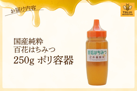 【国産純粋 百花はちみつ 250g ポリ容器】国産 純粋 百花 はちみつ ハチミツ 蜂蜜 紅茶 パン ヨーグルト おすすめ 兵庫県  辻井養蜂場 81-02