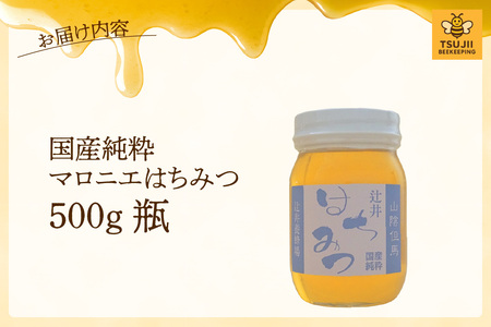 【国産純粋 マロニエはちみつ 500g 瓶】国産 純粋 マロニエ はちみつ ハチミツ 蜂蜜 栃の木 やさしい 香り まろやか パン ヨーグルト おすすめ 兵庫県  辻井養蜂場 81-04