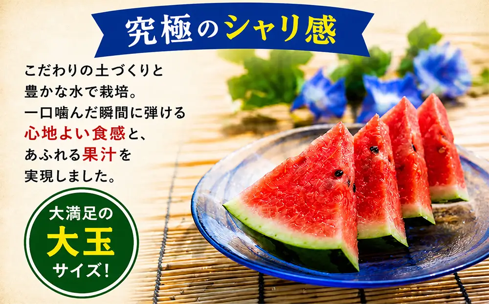 【予約商品】まさかり　スイカ　１玉7～9kg(2Lサイズ以上)