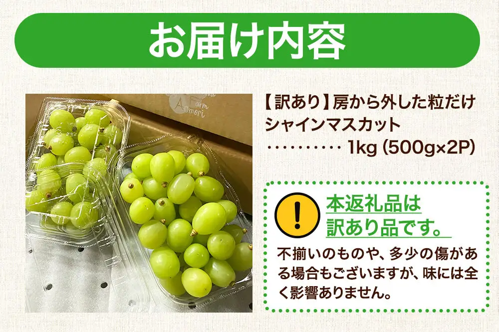 【26年9月～発送】【訳あり】 房から外した粒だけシャインマスカット1kg（500g×2パック） ぶどう フルーツ 果物 ブドウ 葡萄 グレープ くだもの 産地直送