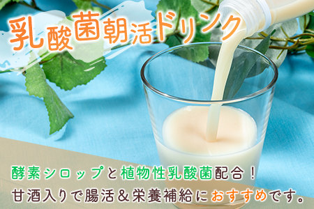 酵素の王様青パパイアのドリンクセット 全4種 国産 ヘルシー グリーンパパイア【A322】