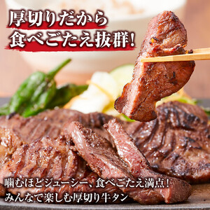 やわらか 厚切り 牛タン 750g 塩味 ｜ 牛タン 仙台