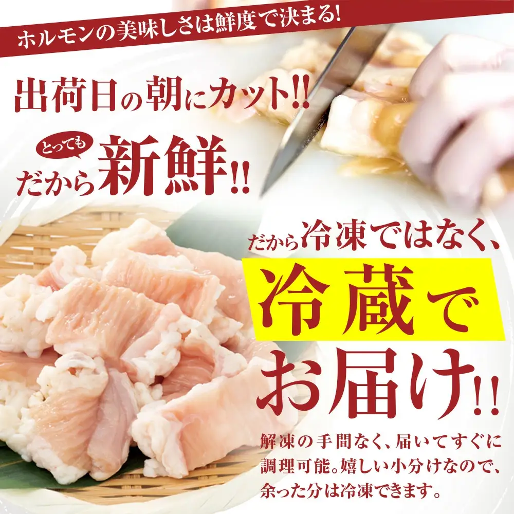 極み シマチョウ テッチャン 800g | ホルモン てっちゃん