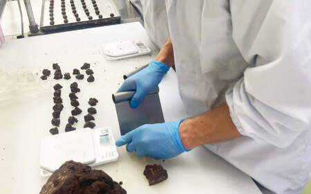 【全6回定期便】焼き菓子ギフトD / 焼き菓子 ギフト 詰め合わせ / 瀬戸市 / 社会福祉法人くわの実福祉会かいこ[BBBU019]