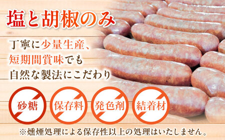 【全3回定期便】燻しソーセージ 12本 / 燻製 豚肉 スモーク おつまみ / 瀬戸市 / 天佑[BBBZ023]
