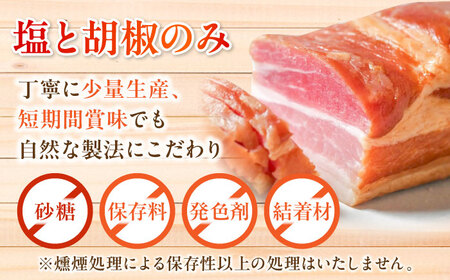 【全3回定期便】無添加燻製セットC 5種セット  / ベーコン ソーセージ 手羽先 ササミ むね肉 / 瀬戸市 /天佑[BBBZ032]