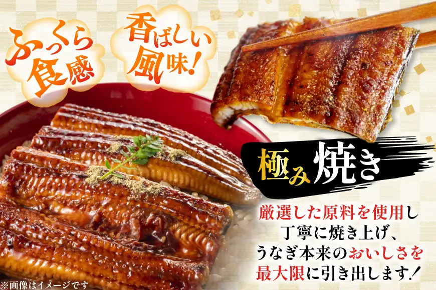 うなぎ 国産 【 丑の日 季節の定期便 】 日向極み うなぎ蒲焼 2尾 計250g [日向サンパーク 宮崎県 日向市 452061710]