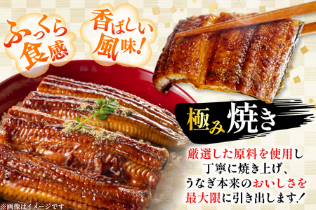うなぎ 国産 蒲焼 2尾 計250g以上 うなぎ [452061714]