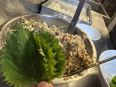 【定期便9ヶ月】餃子専門店青春餃子　大葉三太郎餃子15個入り×3パック 45個（計405個）
