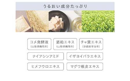 LA SINCIA IN/OUT デイヴェール UV 40mL SPF50＋PA＋＋＋＋ 発酵×和素材 紫外線対策 日中用ノンケミカルUVジェル 日本製 化粧品 メイク F4N-2352