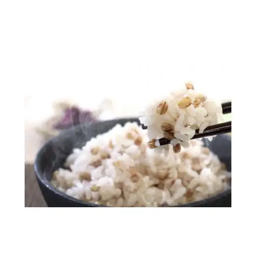 ダイシモチ麦麺セット