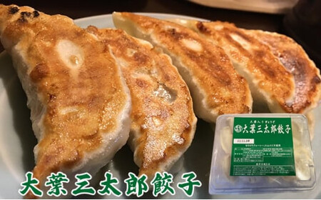 【定期便9ヶ月】餃子専門店青春餃子 餃子食べ比べセット 3種40個（青春餃子15個、豊岡餃子10個、大葉三太郎餃子15個）（計360個）