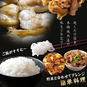 【りんご苑】伝統の味 塩にんにくホルモン 1.08kg(180g×6) 国産豚大腸使用！ F2Y-6196