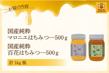 はちみつ 国産純粋 マロニエはちみつ 百花はちみつ 計1kg 81-06
