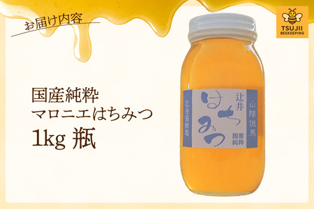 【国産純粋 マロニエはちみつ 1kg 瓶】国産 純粋 マロニエ はちみつ ハチミツ 蜂蜜 栃の木 やさしい 香り まろやか パン ヨーグルト おすすめ 兵庫県  辻井養蜂場 81-07
